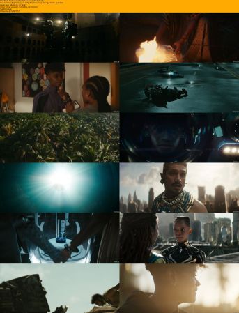 The Black Panther Duology 1080p BRRip x264 AC3 DiVERSiTY