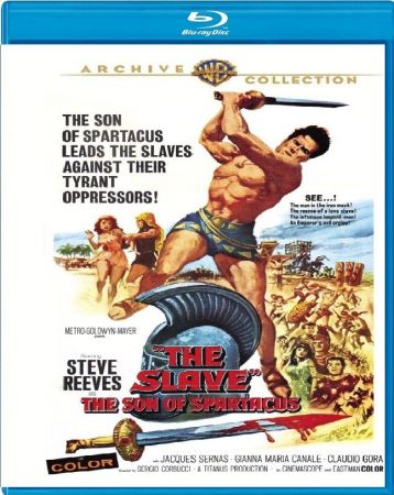 The Slave 1962 DUBBED BRRip x264-ION10