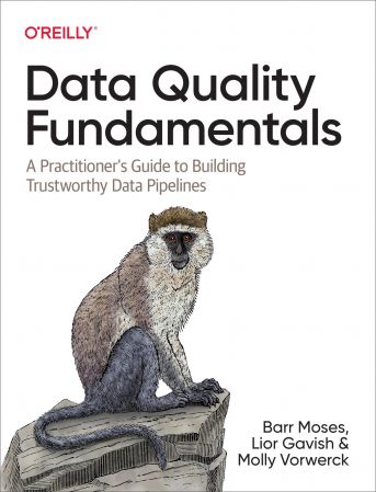 Data Quality Fundamentals: A Practitioner's Guide to Building Trustworthy Data Pipelines (True EPUB/Retail Copy)