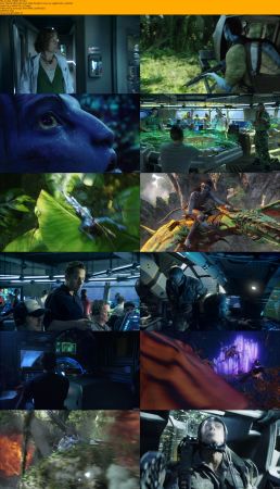 Avatar Duology 1080p BRRip x264 AC3 DiVERSiTY