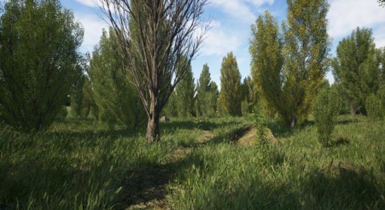 Unreal Engine Marketplace - Poplars Pack (Populus nigra f. pyramidalis)4.24 - 4.27, 5.0 - 5.1