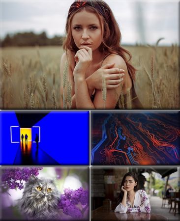 Computer Desktop Wallpapers Collection. Part (2921)