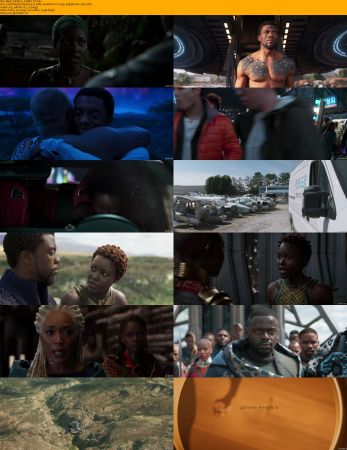 The Black Panther Duology 1080p BRRip x264 AC3 DiVERSiTY
