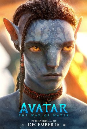 Avatar Duology 1080p BRRip x264 AC3 DiVERSiTY