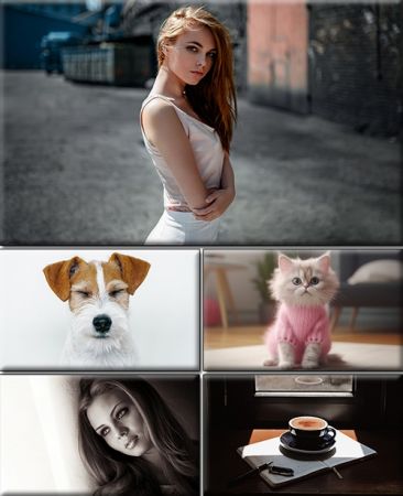 Computer Desktop Wallpapers Collection. Part (2917)