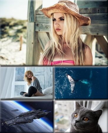 Computer Desktop Wallpapers Collection. Part (2920)