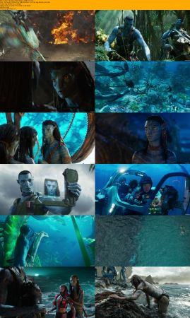Avatar Duology 1080p BRRip x264 AC3 DiVERSiTY