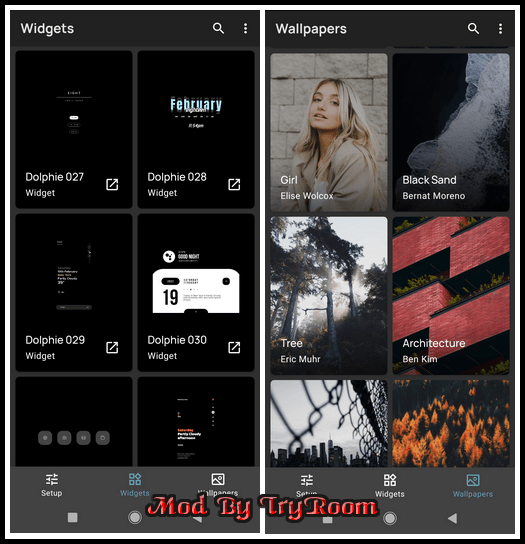 Dolphie for KWGT v1.3.2