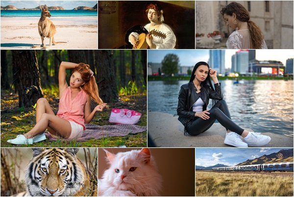 Mixed Beautiful Wallpapers Pack 1658