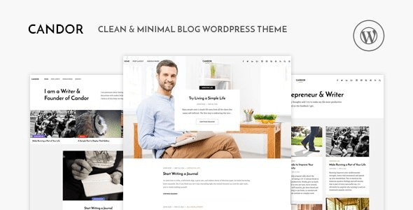ThemeForest - Candor v1.1.4 - Responsive WordPress Blog Theme - 16227135