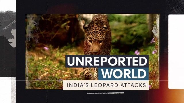 CH4 Unreported World - India's Leopard Attacks (2023) 1080p HDTV x265 AAC MVGroup