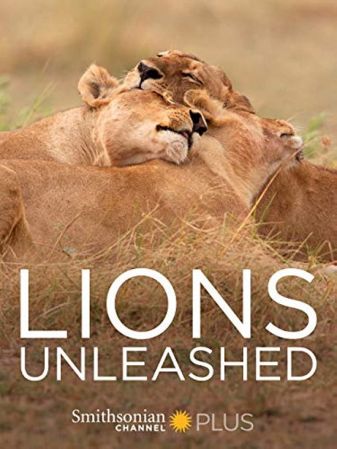 Lions Unleashed 2017 1080p WEBRip x264-RARBG