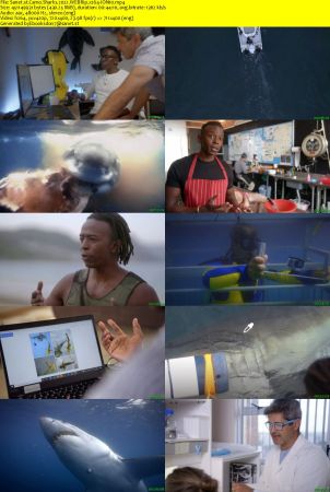 Camo Sharks 2022 WEBRip x264-ION10