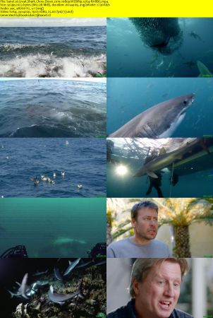 Great Shark Chow Down 2019 1080p WEBRip x264-RARBG