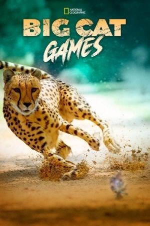 Big Cat Games 2015 WEBRip x264-ION10