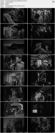 Border Incident 1949 1080p BluRay x264-OFT