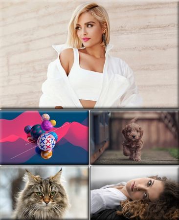 Computer Desktop Wallpapers Collection #2926