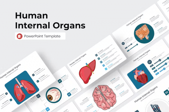 Human Internal Organs PowerPoint Template