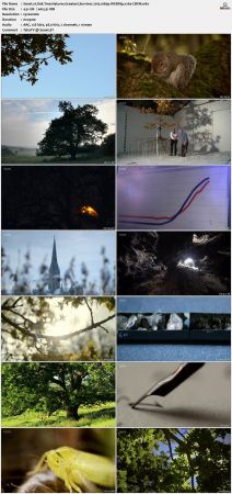 Oak Tree Natures Greatest Survivor 2015 1080p WEBRip x264-CBFM