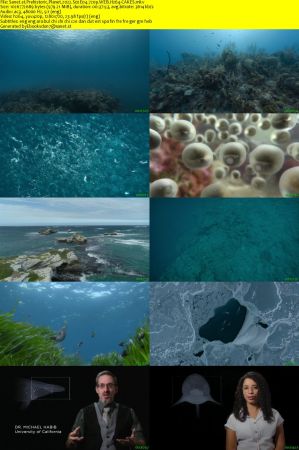 Prehistoric Planet 2022 S02E04 720p WEB H264-CAKES