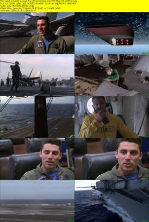 Carrier At War The USS Enterprise 2007 WEBRip x264-ION10