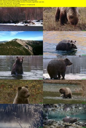 Yukons Wild Grizzlies 2021 WEBRip x264-ION10