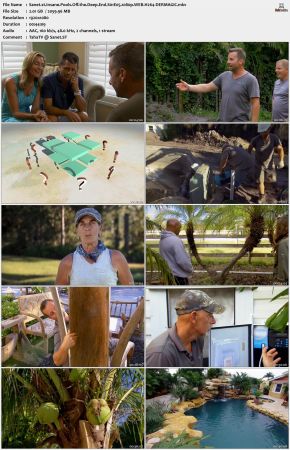 Insane Pools Off the Deep End S01 1080p WEB H264-DERMAGiC