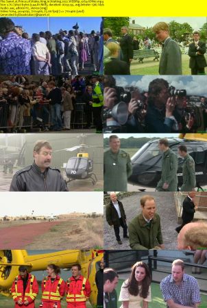 Prince of Wales King in Waiting 2022 WEBRip x264-ION10