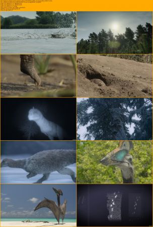 Prehistoric Planet S02 1080p ATVP WEB-DL DDP5.1 H264-EniaHD