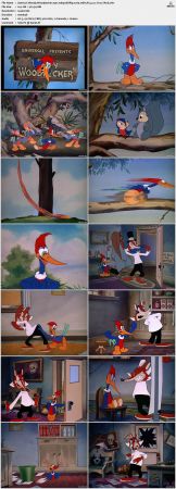 Woody Woodpecker 1941 1080p BDRip x265 10bit AC3 2.0 Frys TAoE