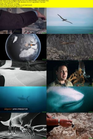 Top 10 Biggest Beasts Ever 2015 1080p WEBRip x264-RARBG