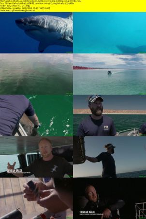 Sharks vs Dolphins Blood Battle 2020 1080p WEBRip x264-RARBG