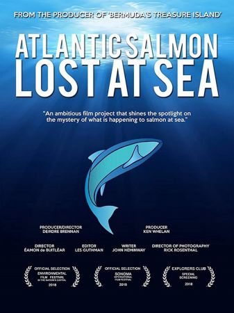 Atlantic Salmon Lost at Sea 2018 WEBRip x264-ION10