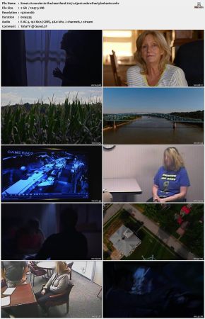 Murder in the Heartland S03 1080p WEBRip H264-NOGRP
