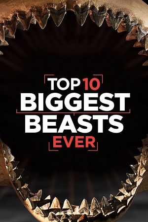 Top 10 Biggest Beasts Ever 2015 1080p WEBRip x264-RARBG