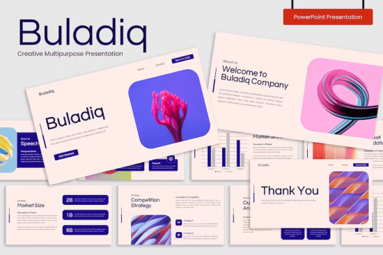 Buladiq – Marketing Plan Presentation Template