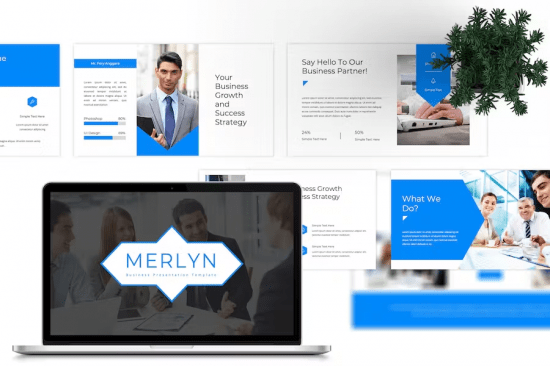 Merlyn Business PowerPoint
