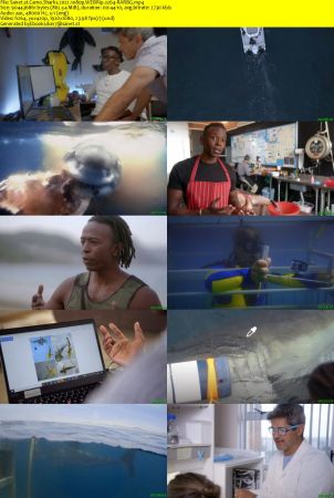 Camo Sharks 2022 1080p WEBRip x264-RARBG