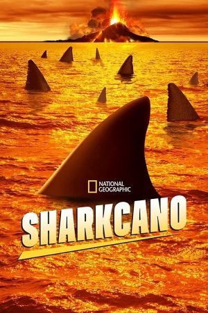 Sharkcano 2020 WEBRip x264-ION10
