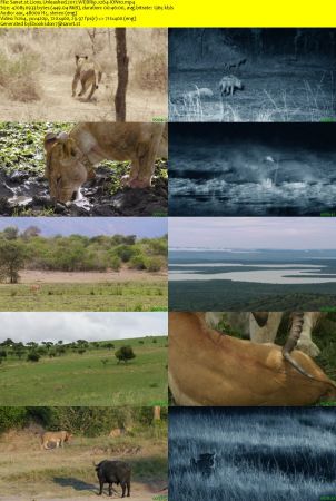 Lions Unleashed 2017 WEBRip x264-ION10