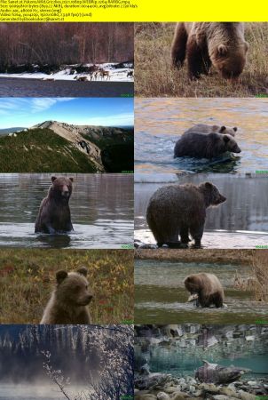 Yukons Wild Grizzlies 2021 1080p WEBRip x264-RARBG