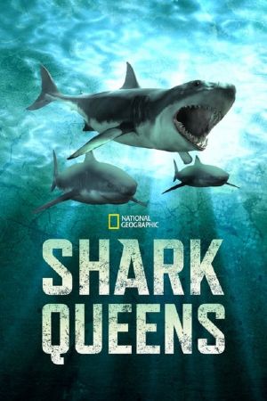 Shark Queens 2022 WEBRip x264-ION10
