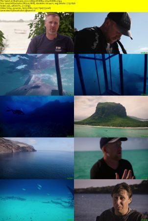 Sharkcano 2020 1080p WEBRip x264-RARBG