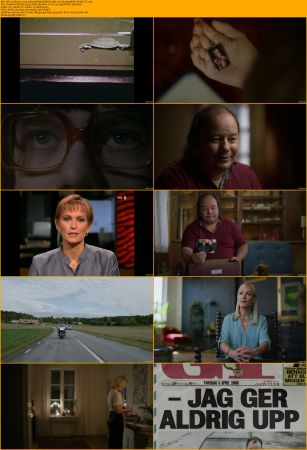 Take A Chance 2023 SWEDISH 1080p AMZN WEBRip DDP2.0 x264-playWEB