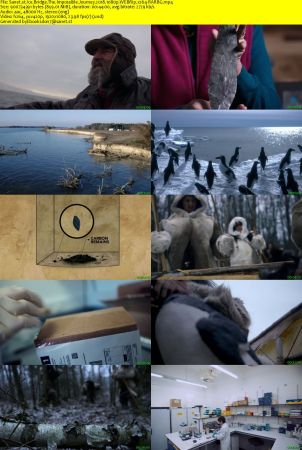Ice Bridge The Impossible Journey 2018 1080p WEBRip x264-RARBG