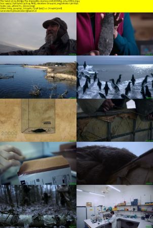 Ice Bridge The Impossible Journey 2018 WEBRip x264-ION10