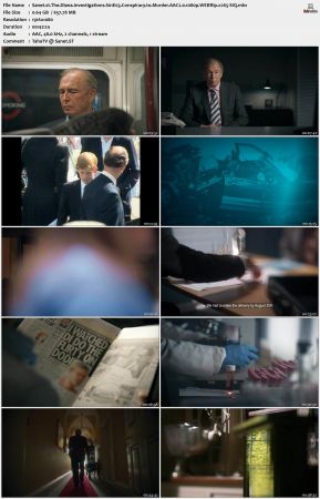 The Diana Investigations S01 WEBRip AAC2 0 1080p x265-SiQ