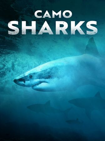 Camo Sharks 2022 WEBRip x264-ION10