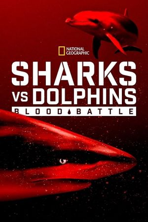 Sharks vs Dolphins Blood Battle 2020 WEBRip x264-ION10