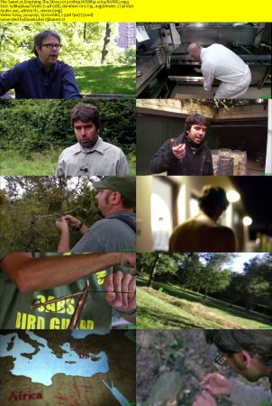 Emptying The Skies 2013 1080p WEBRip x264-RARBG